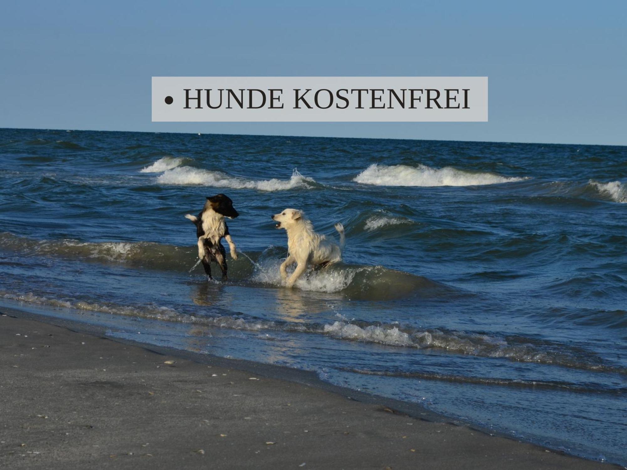 Haus Krabbe Apartments, Zentral Gelegen Im Idyllischen Nordseeort Zwischen Bremerhaven Und Cuxhaven, Hunde Kostenfrei Willkommen, Hauseigene Kostenfreie Parkplaetze ヴレーメン エクステリア 写真